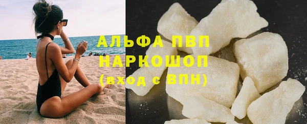 стаф Надым