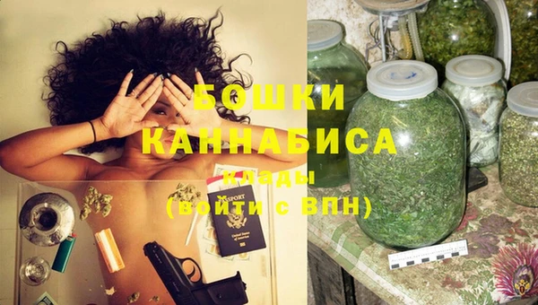 стаф Надым