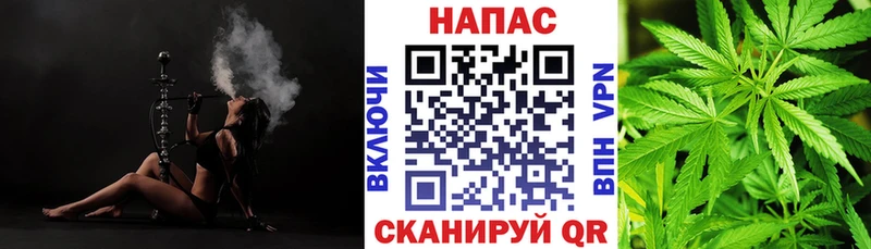 Бошки марихуана семена  магазин продажи   Ртищево 